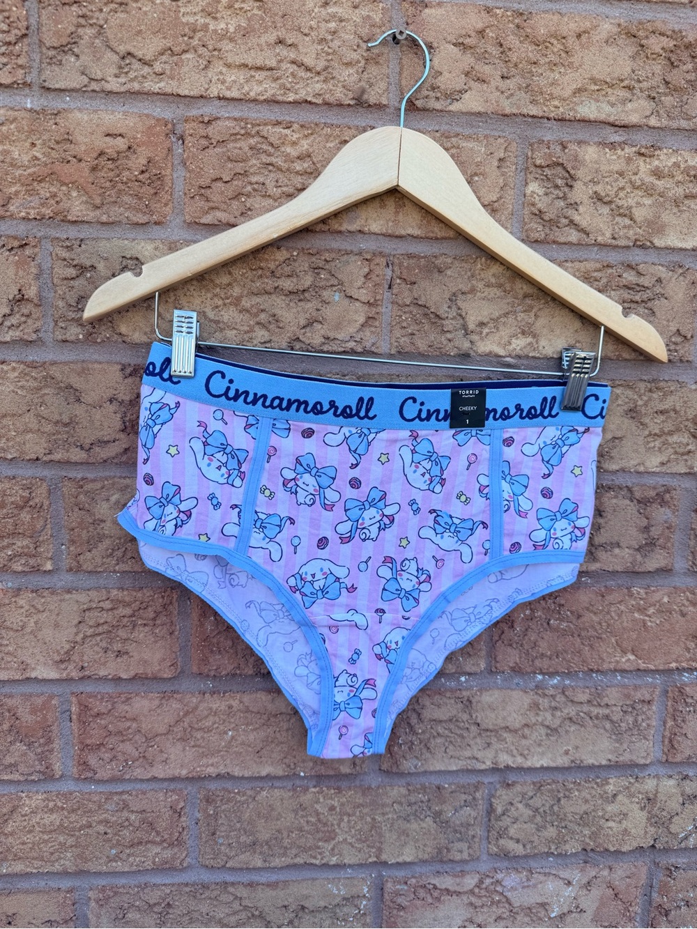 Torrid Cinnamoroll Mid-Rise Cotton Cheeky Panty